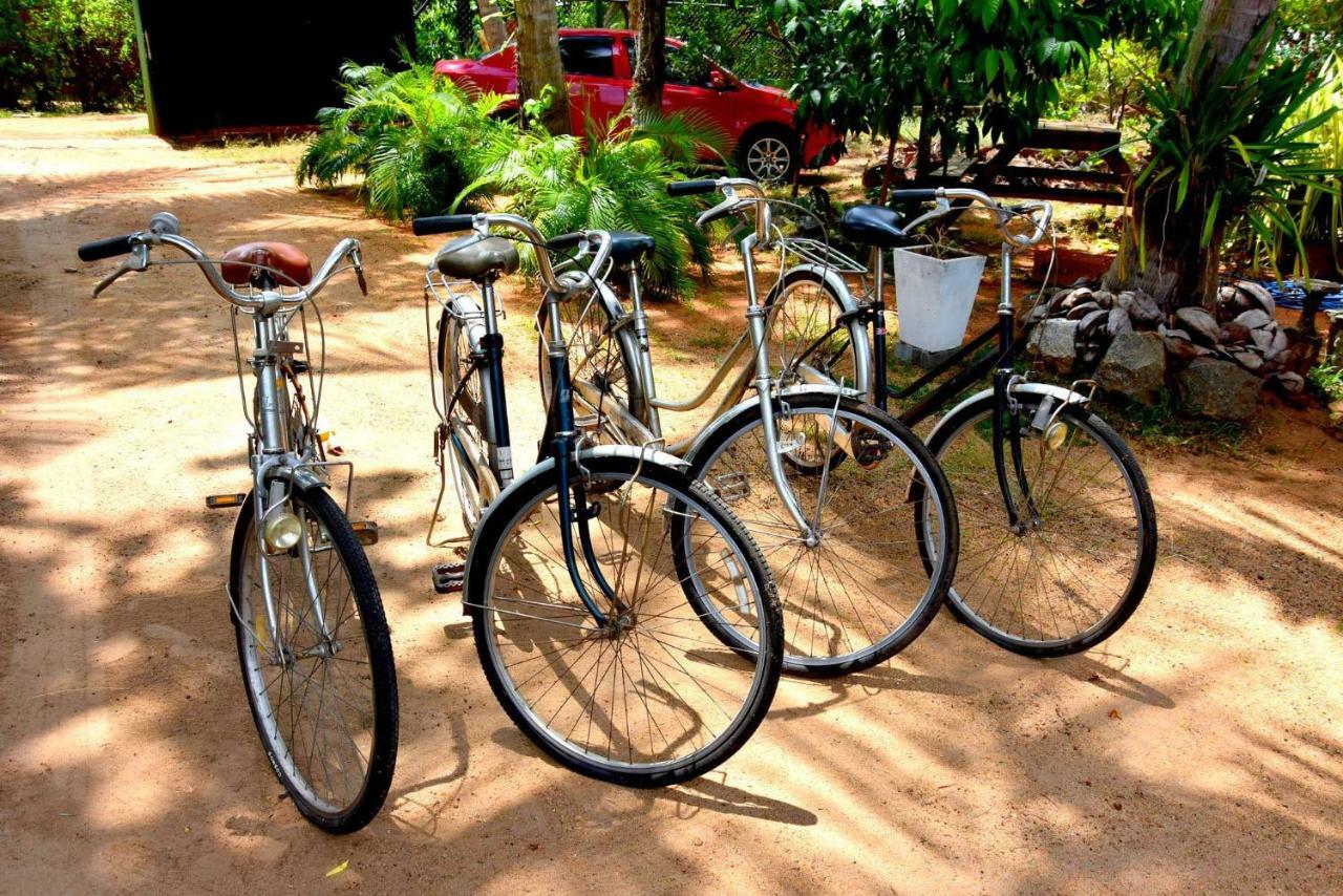 S P City Resort Anuradhapura Luaran gambar